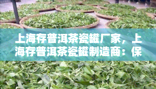 上海存普洱茶瓷罐厂家，上海存普洱茶瓷罐制造商：保茶香，品质保证！