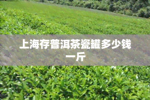 上海存普洱茶瓷罐多少钱一斤