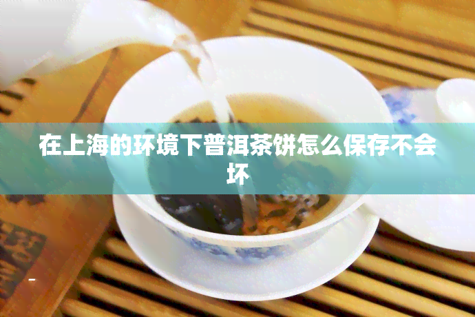 在上海的环境下普洱茶饼怎么保存不会坏