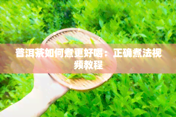 普洱茶如何煮更好喝：正确煮法视频教程