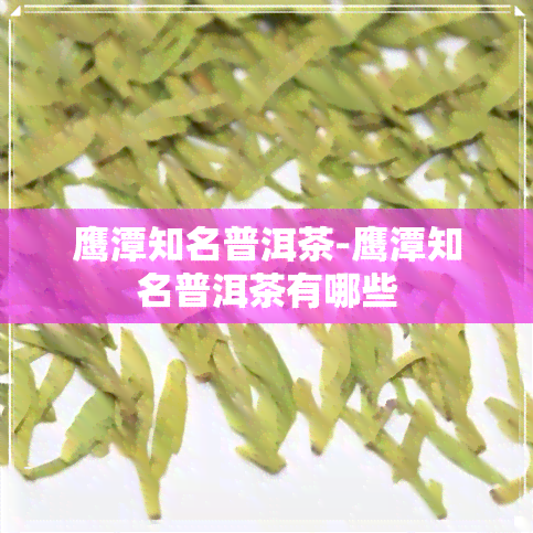 鹰潭知名普洱茶-鹰潭知名普洱茶有哪些