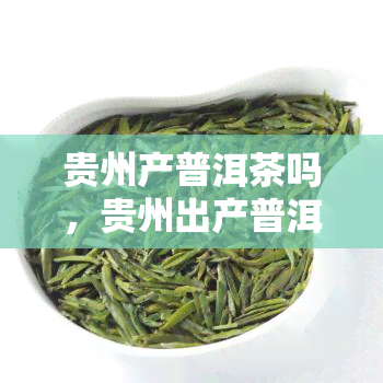 贵州产普洱茶吗，贵州出产普洱茶吗？揭秘茶叶产地的真相！