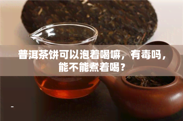 普洱茶饼可以泡着喝嘛，有吗，能不能煮着喝？