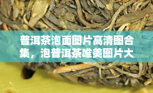 普洱茶泡面图片高清图合集，泡普洱茶唯美图片大全