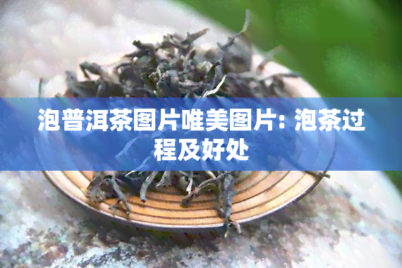 泡普洱茶图片唯美图片: 泡茶过程及好处