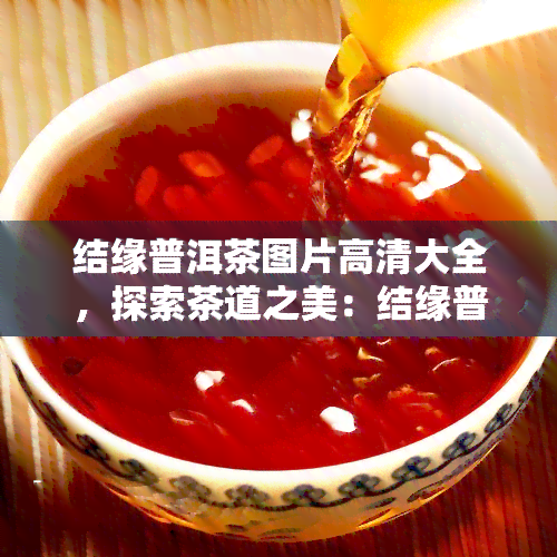 结缘普洱茶图片高清大全，探索茶道之美：结缘普洱茶高清图片完整收藏