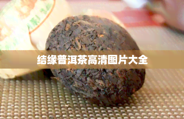 结缘普洱茶高清图片大全