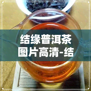 结缘普洱茶图片高清-结缘普洱茶图片高清大图