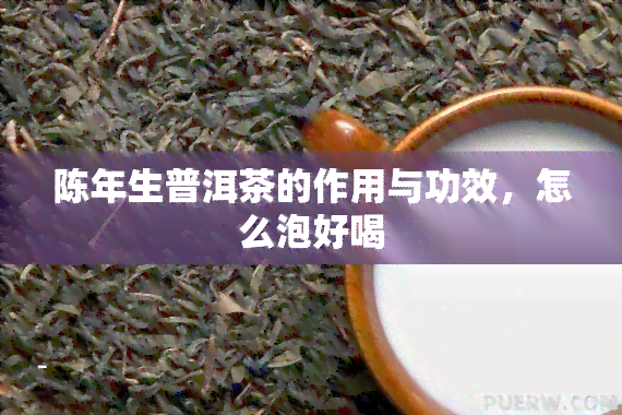 陈年生普洱茶的作用与功效，怎么泡好喝