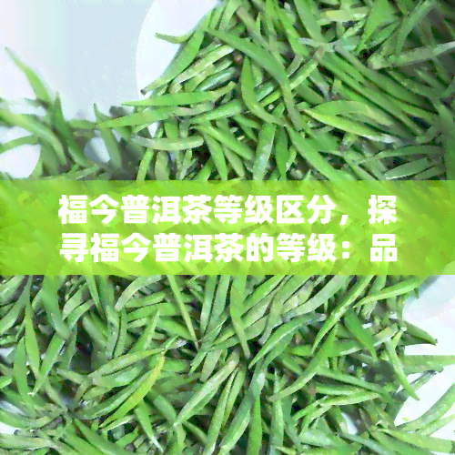 福今普洱茶等级区分，探寻福今普洱茶的等级：品质分级揭秘