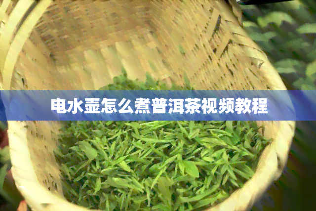 电水壶怎么煮普洱茶视频教程