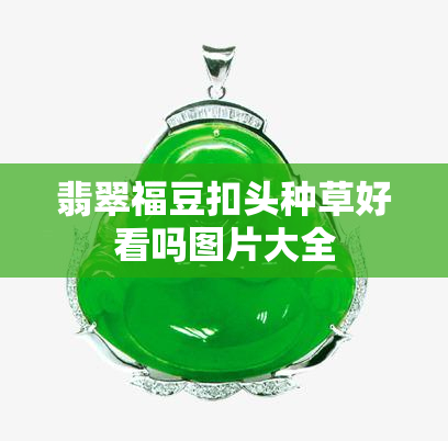 翡翠福豆扣头种草好看吗图片大全