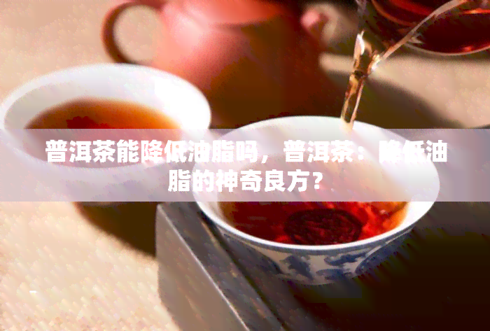 普洱茶能降低油脂吗，普洱茶：降低油脂的神奇良方？