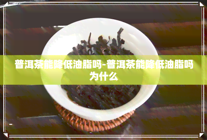 普洱茶能降低油脂吗-普洱茶能降低油脂吗为什么