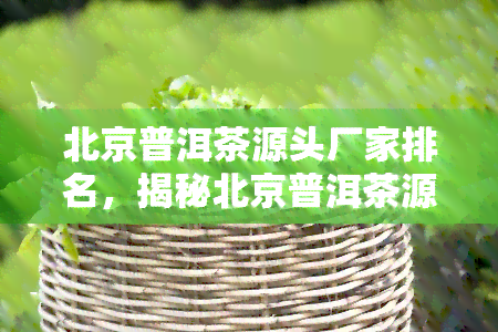 北京普洱茶源头厂家排名，揭秘北京普洱茶源头厂家的排名：谁是行业领军者？