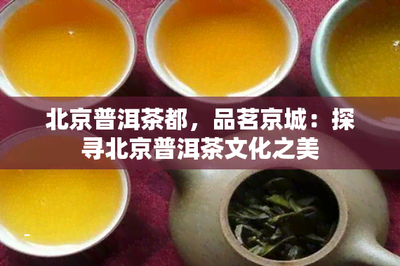 北京普洱茶都，品茗京城：探寻北京普洱茶文化之美