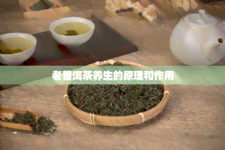 老普洱茶养生的原理和作用