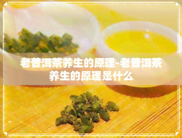 老普洱茶养生的原理-老普洱茶养生的原理是什么