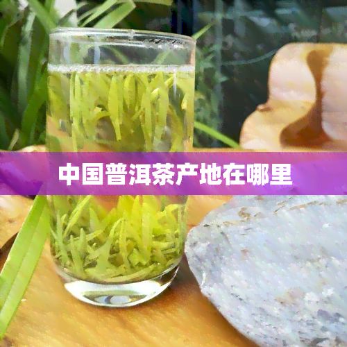 中国普洱茶产地在哪里