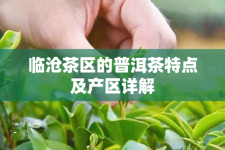 临沧茶区的普洱茶特点及产区详解