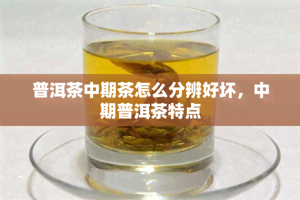 普洱茶中期茶怎么分辨好坏，中期普洱茶特点