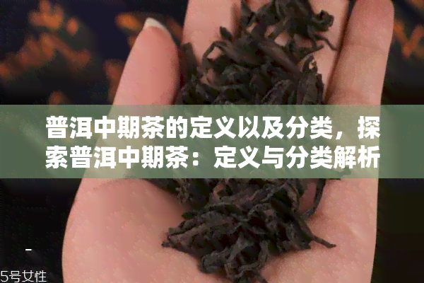 普洱中期茶的定义以及分类，探索普洱中期茶：定义与分类解析