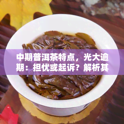 中期普洱茶特点，光大逾期：担忧或起诉？解析其法律风险与应对策略