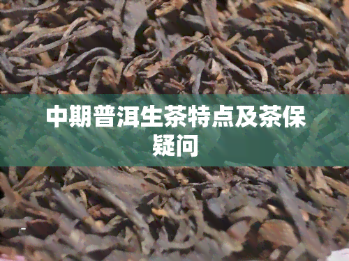 中期普洱生茶特点及茶保疑问