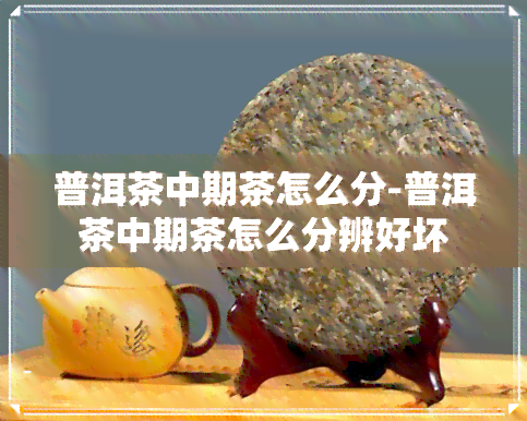 普洱茶中期茶怎么分-普洱茶中期茶怎么分辨好坏