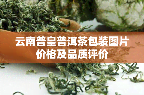 云南普皇普洱茶包装图片价格及品质评价