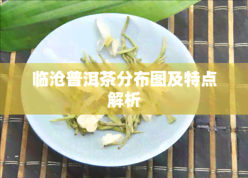 临沧普洱茶分布图及特点解析