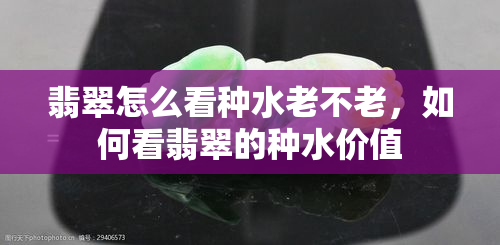 翡翠怎么看种水老不老，如何看翡翠的种水价值