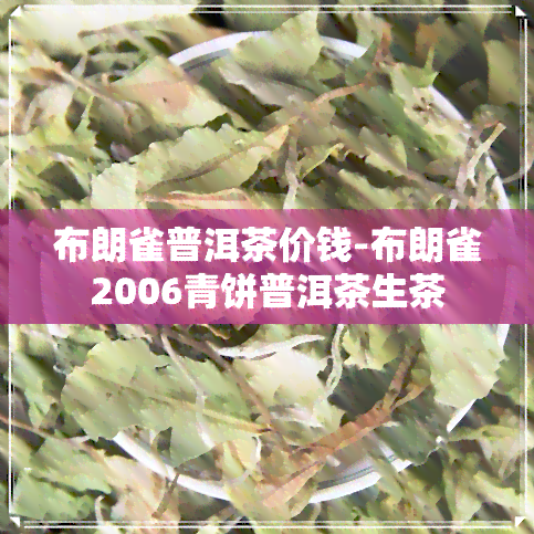 布朗雀普洱茶价钱-布朗雀2006青饼普洱茶生茶