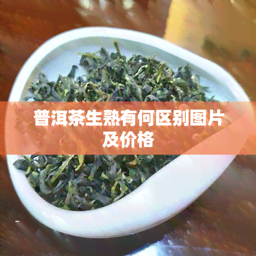 普洱茶生熟有何区别图片及价格