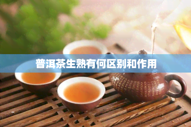 普洱茶生熟有何区别和作用