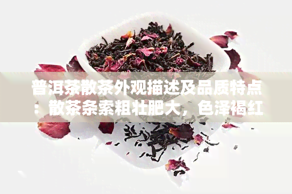 普洱茶散茶外观描述及品质特点：散茶条索粗壮肥大，色泽褐红