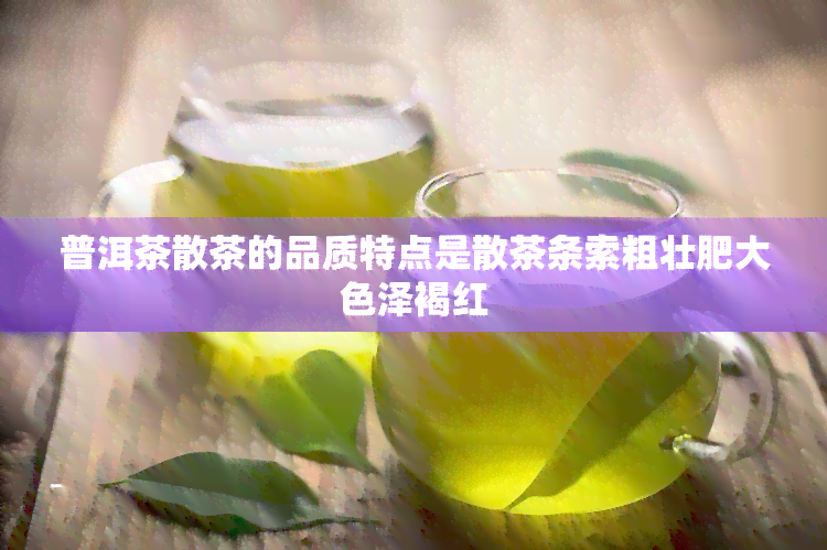 普洱茶散茶的品质特点是散茶条索粗壮肥大色泽褐红