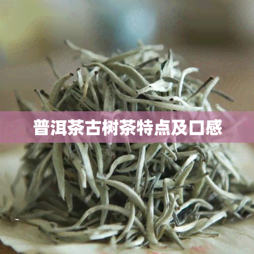 普洱茶古树茶特点及口感