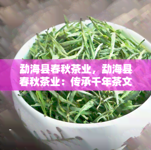 勐海县春秋茶业，勐海县春秋茶业：传承千年茶文化的现代化探索