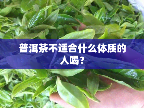 普洱茶不适合什么体质的人喝？