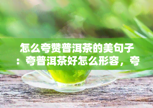 怎么夸赞普洱茶的美句子：夸普洱茶好怎么形容，夸奖普洱茶叶的句子，夸普洱茶好喝的句子