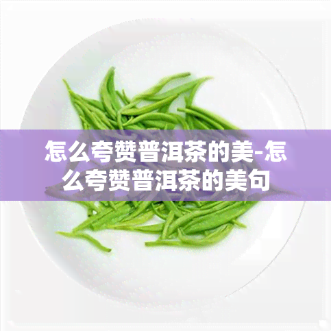 怎么夸赞普洱茶的美-怎么夸赞普洱茶的美句