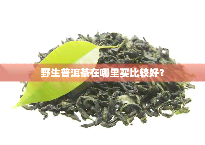 野生普洱茶在哪里买比较好？