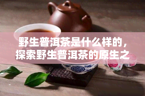 野生普洱茶是什么样的，探索野生普洱茶的原生之美