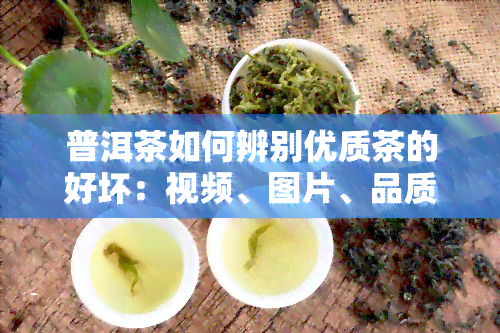 普洱茶如何辨别优质茶的好坏：视频、图片、品质识别与品鉴