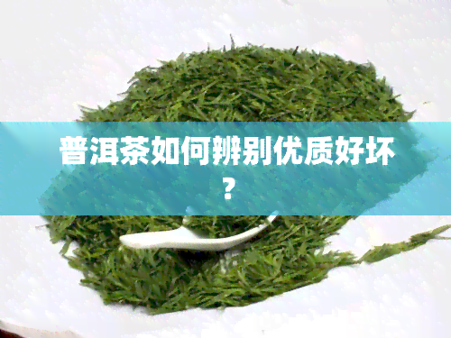 普洱茶如何辨别优质好坏？