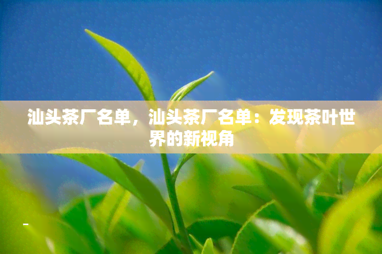 汕头茶厂名单，汕头茶厂名单：发现茶叶世界的新视角