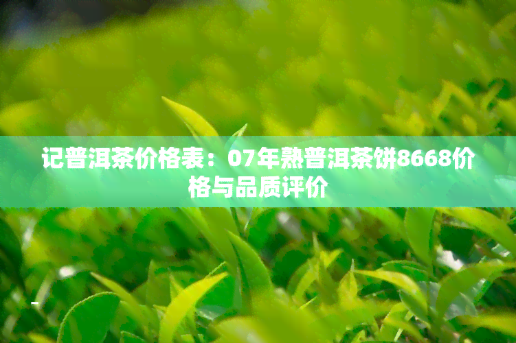 记普洱茶价格表：07年熟普洱茶饼8668价格与品质评价