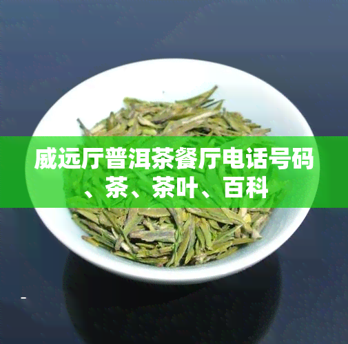 威远厅普洱茶餐厅电话号码、茶、茶叶、百科