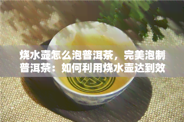 烧水壶怎么泡普洱茶，完美泡制普洱茶：如何利用烧水壶达到效果？